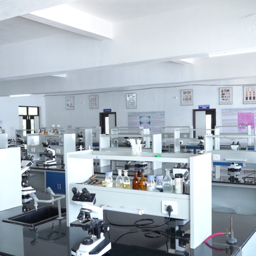 Lab
