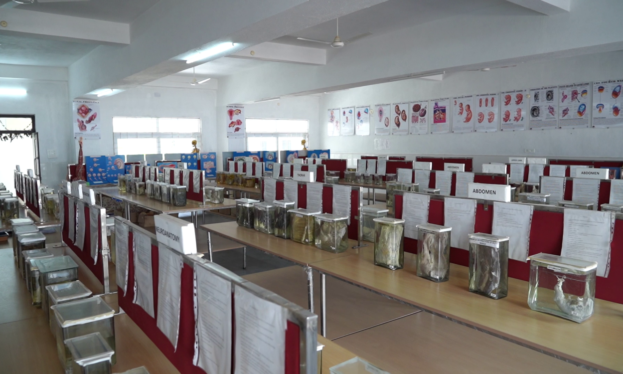 vlcsnap-2025-11-14-14h47m44s335