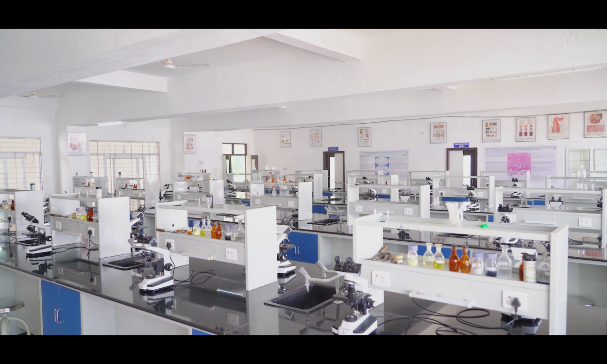 vlcsnap-2026-02-25-11h45m25s369